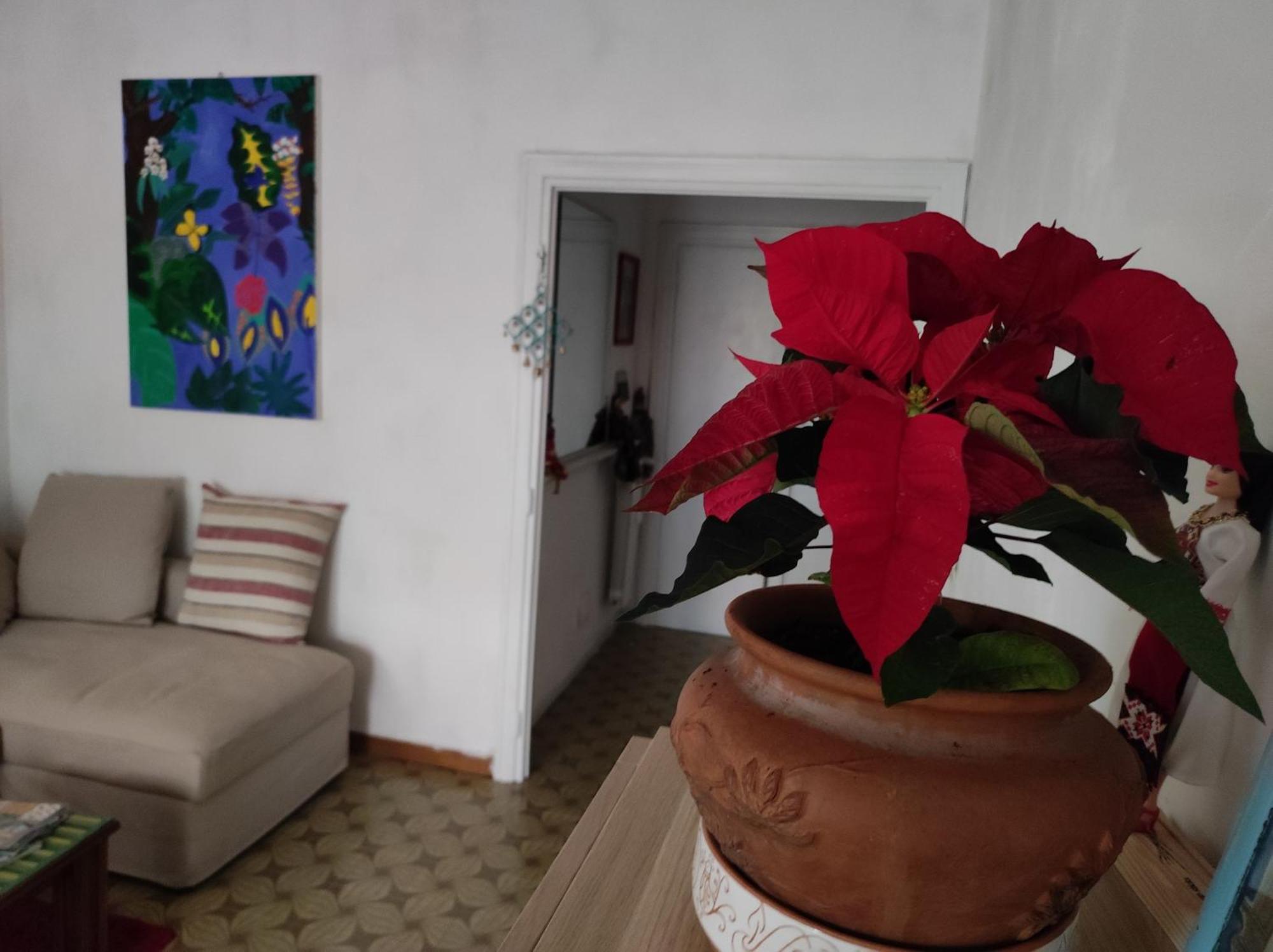 Appartement Terrazza Di Ernesto Rome