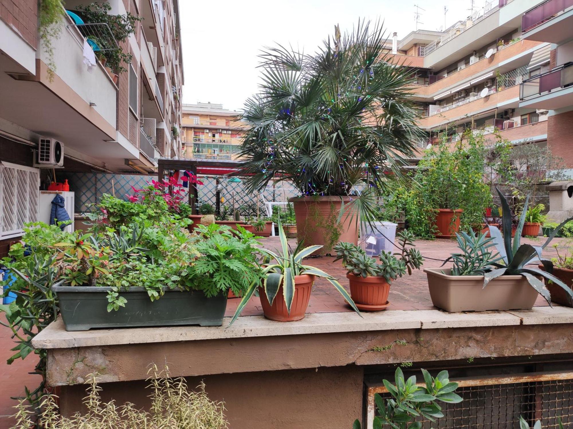 Terrazza Di Ernesto Appartement *