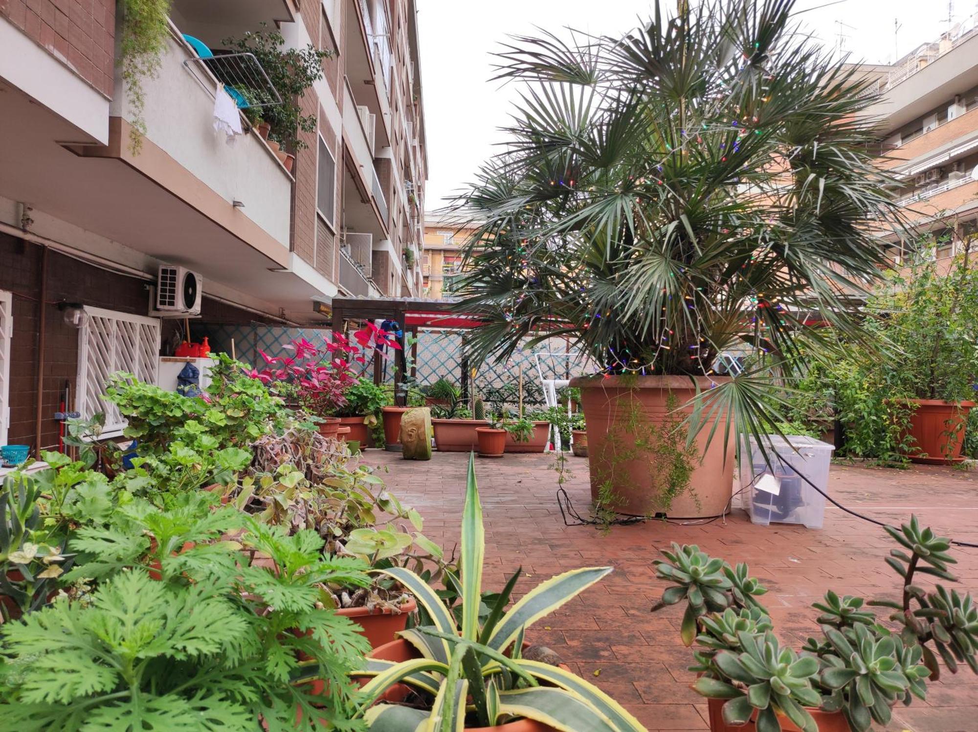 Appartement Terrazza Di Ernesto Rome